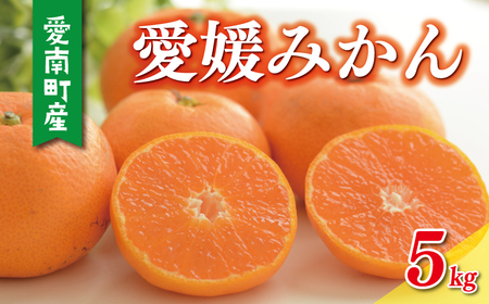 [数量限定]愛媛 みかん 5kg 温州みかん 愛媛みかん [岡平農園]