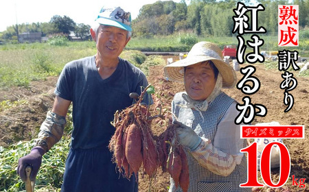 訳あり 熟成 紅はるか 10kg サイズ ミックス さつまいも サツマイモ いも 芋 焼き芋 やきいも 蒸し芋 冷やし焼き芋 蜜 スイートポテト さつまいもスープ ご飯 チップス 天ぷら おやつ デザート スイーツ 料理 材料 国産 長期熟成 低温 高糖度 甘い 甘み しっとり なめらか 栄養豊富 食物繊維 季節限定 秋冬限定 冬の味覚 愛媛県 愛南町 愛南町産 愛なんよ