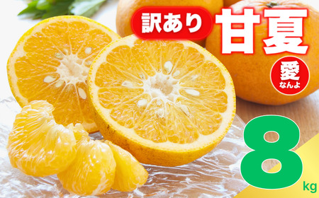 󂠂 É 8kg TCY ~bNX 8000~ ƒp  Yn _ƒ _ ͔| t[c ʕ k ܂Ȃ {̖o u₩  Î_ς قꂢ l   }[}[h