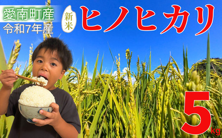 [ 先行予約 ] 新米 5kg 愛媛県 愛南町産 ヒノヒカリ 令和7年産 白米 精米 お米 ブランド米 送料無料 産地直送 自慢のお米 豊かな 甘み と 粘り ツヤ のある 美味しい ご飯 を ご家庭 で 冷めても 美味しい ので 毎日 お弁当 や おにぎり にも 最適 農家 丹精 込めて 育てた 逸品 一人暮らし から ご家族 まで 楽しめる 人気 ひのひかり 愛媛県 愛南町 愛なんよ