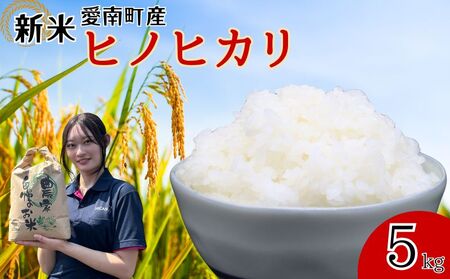 [ 令和7年産新米 ] 新米 ヒノヒカリ 5kg 青果市場