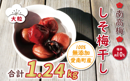 梅干し 1.24kg うめぼし 梅干し