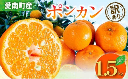 yY|Jz~̊k|J 1.5kg