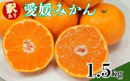 [訳あり]愛媛みかん約1.5kg 青果市場