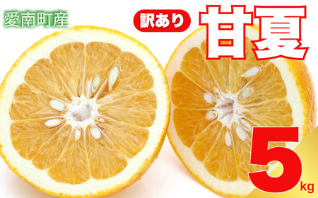 甘夏 4.5kg 訳あり 甘夏 エニシトラス