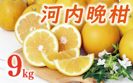 ��s�\�� �͓��ӊ� 9kg �i L�T�C�Y �ȏ� �j