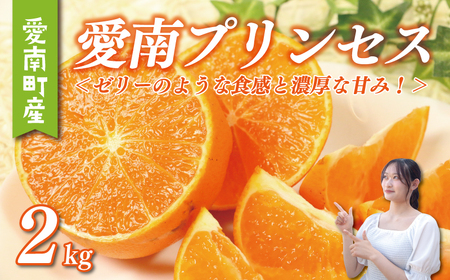 y g܂ǂ × Õ = gvZX iz  vZX 2kg ʎ݂ǂ