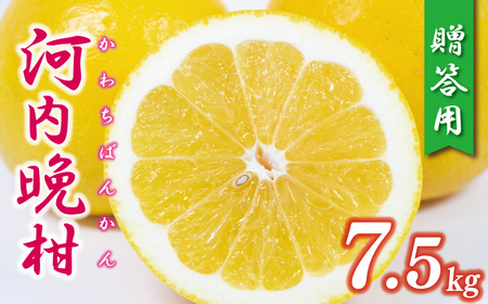贈答用 河内晩柑 樹齢 30年以上 7.5kg 果樹園みどり
