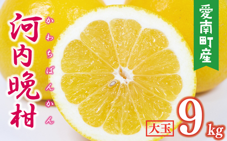 �͓��ӊ� ��� 9kg �݂���̎R��