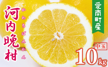 �͓��ӊ� ���� 10kg �݂���̎R��