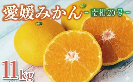 �y���K�i�z �݂��� 11kg ���Q�݂��� �승20�� 17000�~ ���ƒ�p �Z�� �Â� ���n