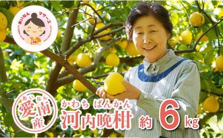 �͓��ӊ� 6kg �����Ȃ�}�U�[�Y