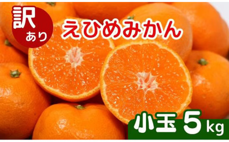 �y���ƒ�p�z �݂��� 5kg ���� �󂠂� ���Q ���B�݂���