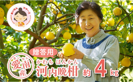 贈答用 河内晩柑 4kg あいなんマザーズ