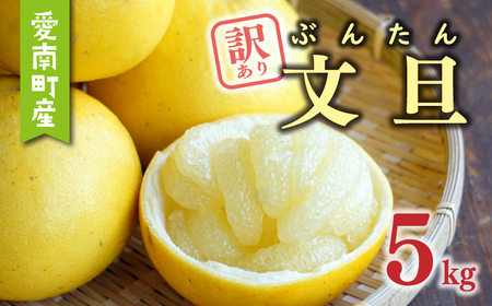 訳あり 文旦 5kg あいなんマザーズ