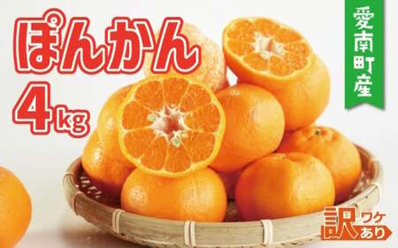 [先行予約:2027年1月初旬〜発送]訳あり ポンカン 4kg 7000円(+傷み保障500g) みかん mikan 蜜柑 ミカン ぽんかん 産地直送 国産 農家直送 糖度 期間限定 数量限定 特産品 ゼリー ジュース アイス 等に 人気 限定 甘い フルーツ 果物 柑橘 美味しい おいしい ジューシー 小玉 含む 規格外 サイズ ミックス 傷み補償 500g ミッチーのおみかん畑 愛南町 愛媛県