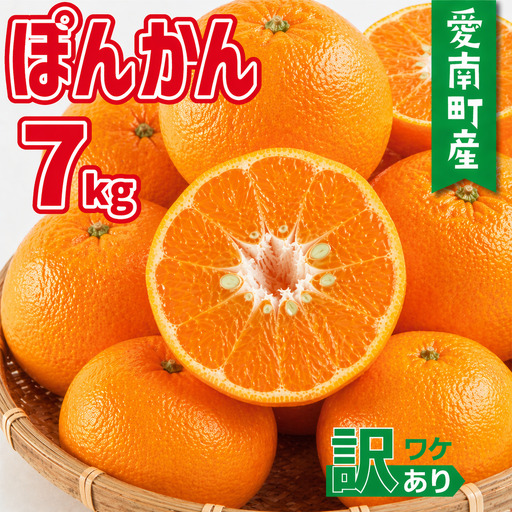 [先行予約:2027年1月初旬〜発送]訳あり ポンカン 7kg(+傷み保障500g)10000円 みかん mikan 蜜柑 ミカン ぽんかん 産地直送 国産 農家直送 糖度 期間限定 数量限定 特産品 ゼリー ジュース アイス 等に 人気 限定 甘い フルーツ 果物 柑橘 美味しい おいしい ジューシー 小玉 含む 規格外 サイズ ミックス 傷み補償 500g ミッチーのおみかん畑 愛南町 愛媛県