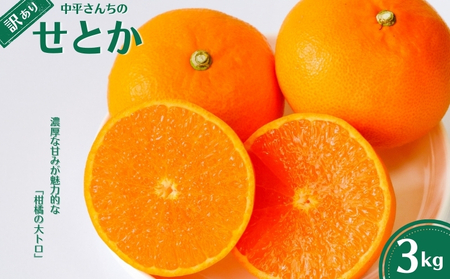 [ 訳あり ] せとか 3kg 柑橘 みかん 中平農園 愛媛県 愛南町
