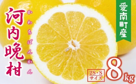 [数量限定] 先行予約 河内晩柑 樹齢 25年以上 ちびっこ 8kg ( 2S ・ Sサイズ )