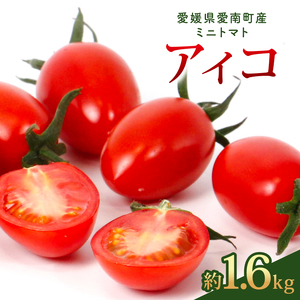 アイコ 約1.6kg 大瀧農園 トマト 完熟トマト 野菜 産地 直送 人気 国産 愛媛県 愛南町 発送期間:2026年3月1日〜7月頃まで(※なくなり次第終了)