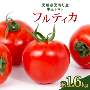 フルティカ 約1.6kg 大瀧農園 トマト 完熟トマト 野菜 産地 直送 人気 国産 愛媛県 愛南町 発送期間:2026年3月1日〜7月頃まで(※なくなり次第終了)