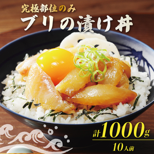 希少部位のみ ブリの漬け丼 100g 10パック つのとろ 大トロ ぶり 鰤 漬け 丼 希少部位 トロ 小分け 冷凍 カンタン ごはん お供 アレンジ イタリアン バスタ パン フランスパン アレンジ サラダ パスタ 簡単調理 簡単 魚 さかな 和食 洋食 晩ご飯 お酒 つまみ どんぶり丼物 ハマスイ 愛媛県愛南町 愛媛県 愛南町