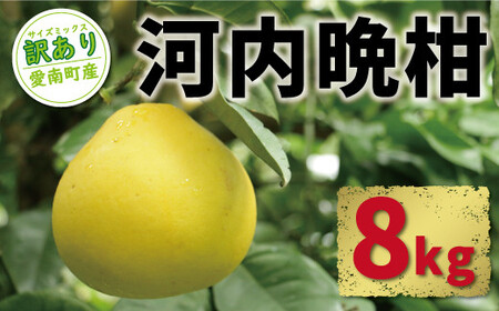訳あり 河内晩柑 8kg 9000円 みかん かわちばんかん 愛南ゴールド