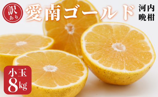 訳あり 愛南ゴールド 河内晩柑 小玉 8kg