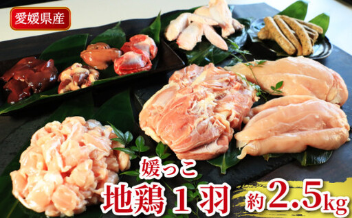 地鶏 愛媛 媛っこ地鶏 1羽セット 約2.5kg 鶏肉 鳥肉 肉 チキン むね肉 もも肉 ささみ レバー せせり ハツ 砂肝 焼肉 焼き鳥  BBQ 冷凍 国産 高級 タンパク質 低脂肪 糖質 唐揚げ チキン南蛮 サラダチキン スープ 出汁 モツ煮 ダイエット 愛南町 送料無料 ローカルスタンダード