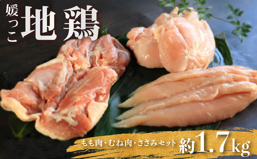 媛っこ地鶏 もも肉 むね肉 ささみ 約1.7kg ローカルスタンダード