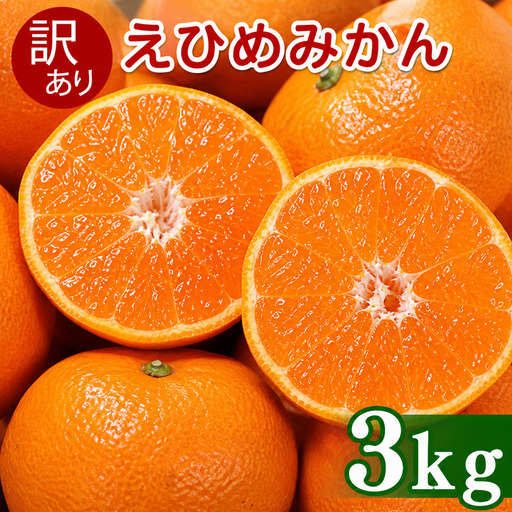 [先行予約]訳あり 愛媛みかん 3kg 傷み補償 250g 清家ばんかんビレッジ