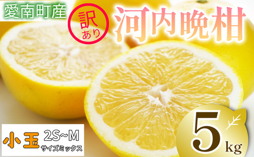 訳あり 河内晩柑 5kg 小玉 2S M サイズミックス お試し 家庭用 愛南町 清家ばんかんビレッジ