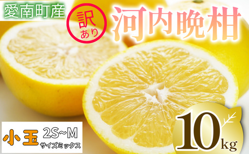  訳あり 河内晩柑 10kg 小玉 2S M サイズミックス 家庭用 愛媛県 愛南町 清家ばんかんビレッジ