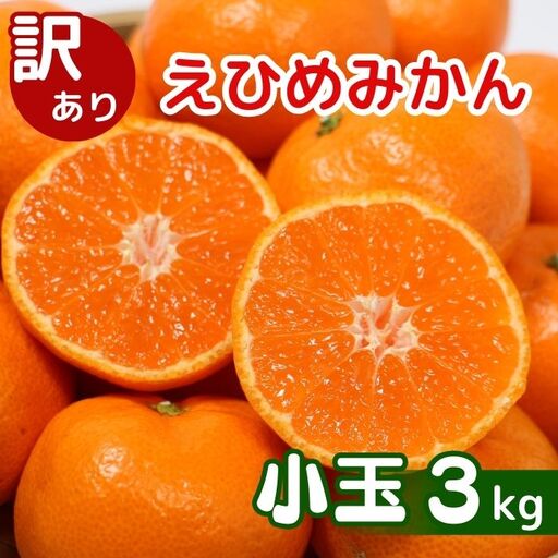 [先行予約]訳あり 愛媛みかん 小玉 3kg 傷み補償 250g 清家ばんかんビレッジ