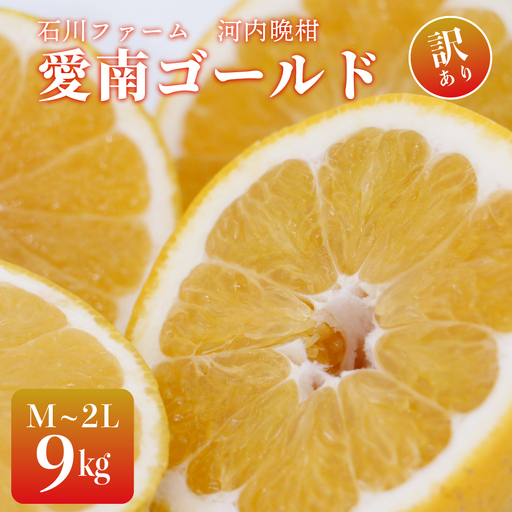 訳あり 愛南ゴールド(河内晩柑) 9kg サイズ(Ⅿ〜2Ⅼ) みかん 愛媛 河内晩柑 石川ファーム