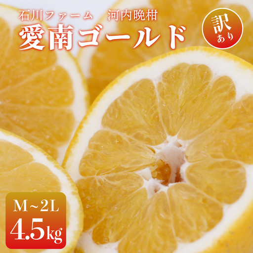 訳あり 愛南ゴールド(河内晩柑) 4.5kg サイズ(M〜2L) 愛媛県 みかん 石川ファーム
