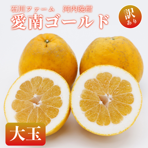 訳あり 愛南ゴールド(河内晩柑) 9kg (大玉)サイズ3L 愛媛県 みかん 石川ファーム