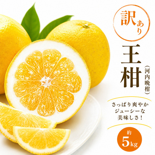 訳あり 河内晩柑 王柑 5kg サイズミックス (M~4L) 愛南町 大串農園