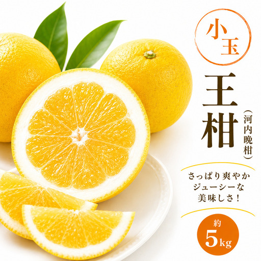 河内晩柑 王柑 小玉 5kg サイズミックス (S〜2S) 愛南町 大串農園