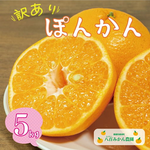 [先行予約:2027年1月下旬〜]訳あり ポンカン 5kg 7000円 八百みかん農園 愛媛県 愛南町