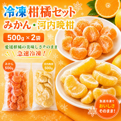 冷凍柑橘セット みかん・河内晩柑 500g ×2袋 冷凍みかん みかん ミカン 愛媛みかん 蜜柑 柑橘 かんきつ 冷凍ミカン 冷凍柑橘 アイス スムージー シャーベット みかん職人武田屋 愛媛県 愛南町