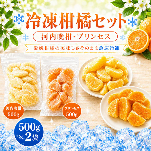冷凍柑橘セット 河内晩柑・プリンセス 500g ×2袋 冷凍みかん みかん ミカン 愛媛みかん 蜜柑 柑橘 かんきつ 冷凍ミカン 冷凍柑橘 アイス スムージー シャーベット みかん職人武田屋 愛媛県 愛南町