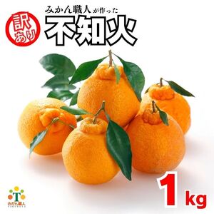 先行受付 訳あり 不知火 1kg [発送期間:2月中旬〜なくなり次第終了 ] しらぬい かんきつ 柑橘 みかん 蜜柑 でこぽん おやつ きず 傷 ふぞろい 不揃いフルーツ 果物 くだもの 果実 愛媛県 愛南町 みかん職人武田屋