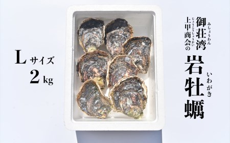 岩牡蠣 Lサイズ 2kg 以上 魚貝類 殻付き 牡蠣 かき BBQ 上甲商会 愛媛県 愛南町