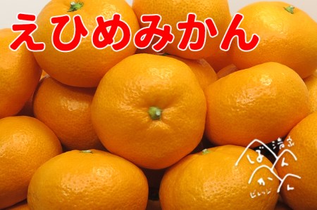 [贈答用]清家ばんかんビレッジ 愛媛みかん 5kg