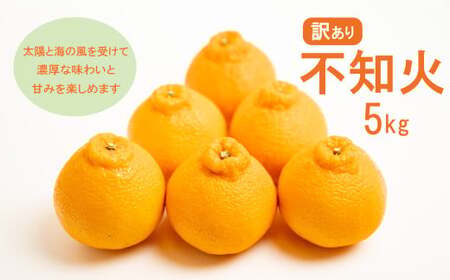 訳あり不知火 [デコポンと同品種]5kg 愛南フルーツ 不知火