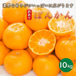 先行予約 訳あり 減農薬 ポンカン 10kg 愛南フルーツ ポンカン みかん 果物 フルーツ 文旦 河内晩柑 温州みかん レモン ブラッド オレンジ ネーブル せとか なつみ 蜜柑 檸檬 果物 果実 ジューシー 甘い 愛媛県 愛南町 サイズミックス サイズ混合 不揃い 柑橘 蜜柑 みかん 産地 産直 発送期間: 2025年1月中旬?2月中旬