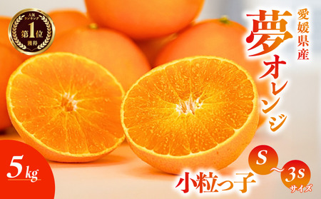 訳あり 夢オレンジ 小玉 小粒っ子 5kg 柑橘 果物 おれんじ 国産 オレンジ フルーツ 有名 愛媛 みかん 職人 武田屋 蜜柑 ブランド ミックス サイズ 温州 愛媛県産 小粒 果実 ビタミン 美味しい 生産者 直送 産直 愛果28号