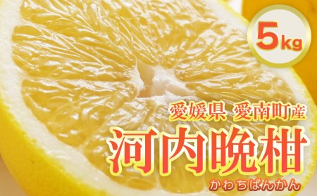 フルーツアイランド・マルエム直販の愛南産の河内晩柑 約5kg 柑橘 フルーツ 果物 蜜柑 みかん くだもの mikan かわち ばんかん かんきつ 和製 グレープフルーツ 愛南ゴールド デザート 果実 果汁 甘い ジューシー おいしい 特産品 国産 農園 直送 産地 直送 愛媛県 愛南町