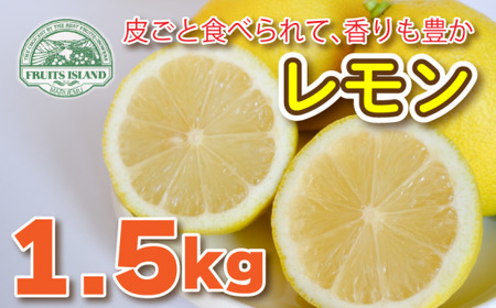 レモン 約 1.5kg 12個 檸檬 レモン フルーツ 果物 くだもの 柑橘 国産 新鮮 減農薬 ノンワックス 防腐剤 不使用 ビタミンC 美容 美肌 健康 皮ごと 牡蠣 かき 魚 さかな 肉 にく スイーツ パスタ 愛媛 みかん 蜜柑 愛南 